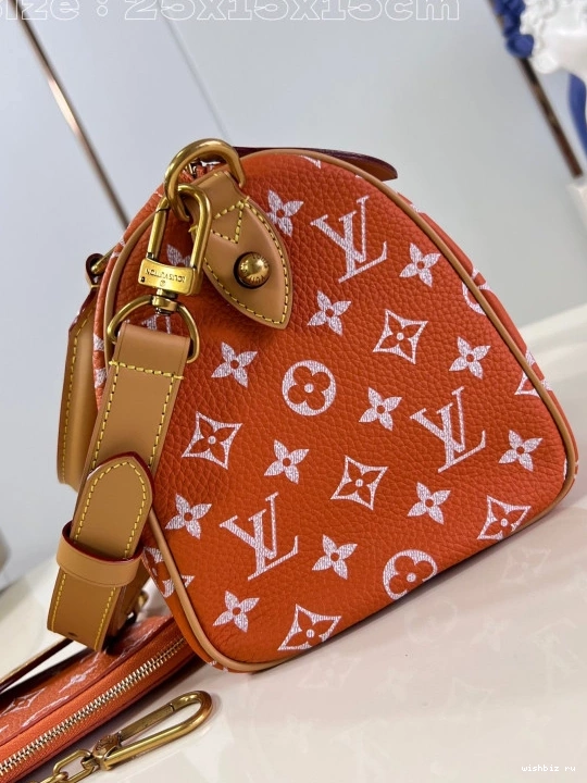 WIS Louis SPEEDY 25 Vuitton 1031